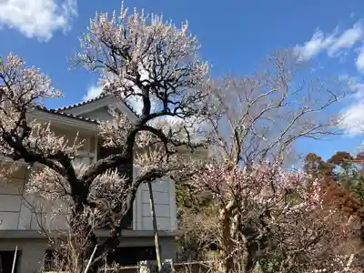 本土寺(千葉県)