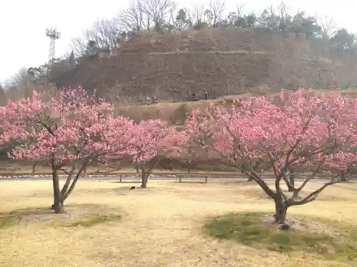 神前神社の庭園