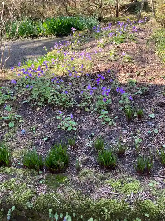 浄智寺(神奈川県)