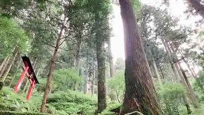 榛名神社(群馬県)