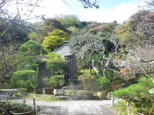 光則寺の庭園