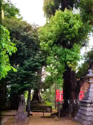 諏訪神社(東京都)