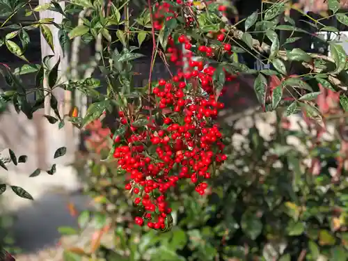 木舟山　順教寺の自然