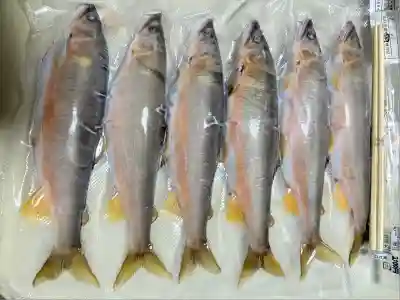 三坂神社（弾除け神社）(山口県)