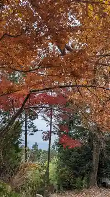 自玉手祭来酒解神社(京都府)