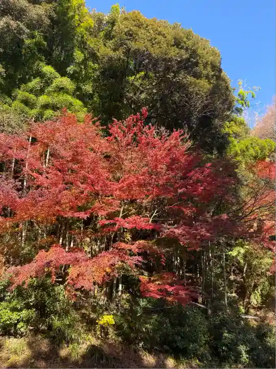 財賀寺(愛知県)