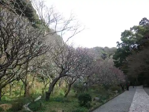 瑞泉寺の庭園