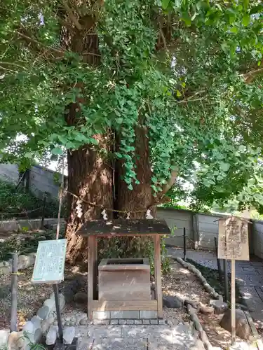 堤治神社の自然