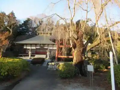 眞城寺(東京都)
