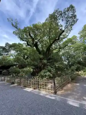 浜松八幡宮(静岡県)