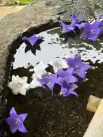 鹿島大神宮の御朱印