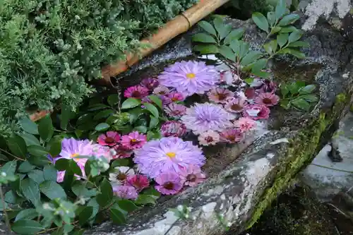 木幡山隠津島神社(二本松市)の手水