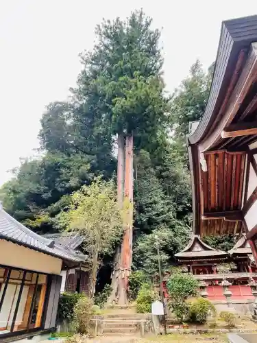 宇太水分神社(奈良県)