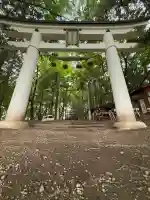 宝登山神社奥宮(埼玉県)