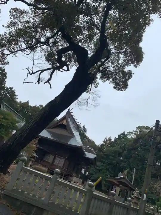 恒石八幡宮の本殿・本堂