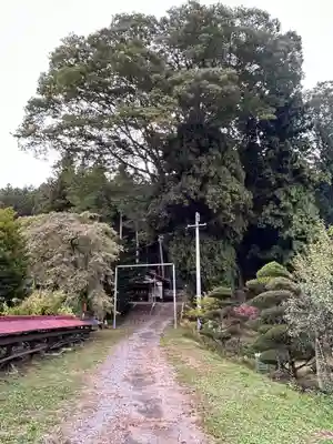 大古見神社(長野県)