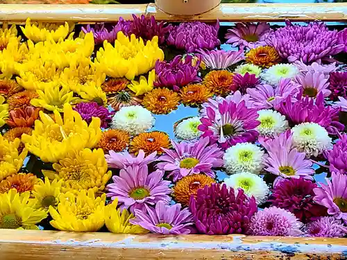 土津神社｜こどもと出世の神さまの手水舎