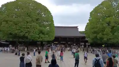 明治神宮(東京都)