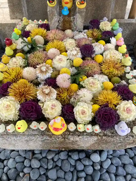 くろ谷 金戒光明寺(京都府)