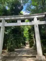 代々木八幡宮の鳥居