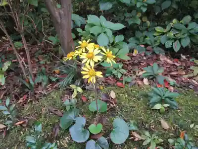 當麻寺中之坊(奈良県)