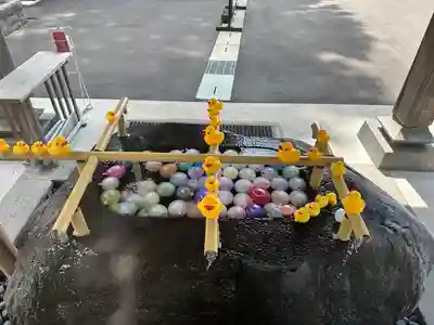 乃木神社の手水舎