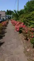 火雷神社の鳥居