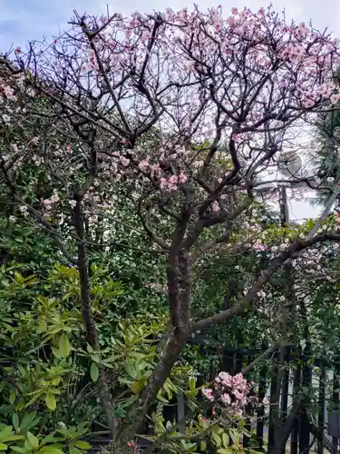 中野沼袋氷川神社(東京都)