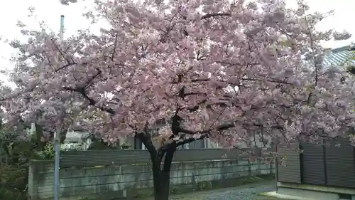 宇佐八幡社の自然