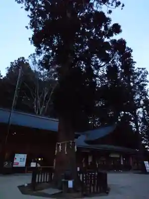 穂高神社本宮(長野県)