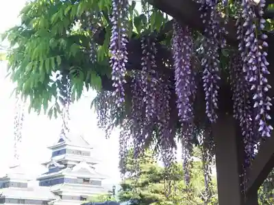 松本神社の周辺