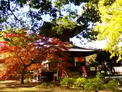 鑁阿寺の建物その他