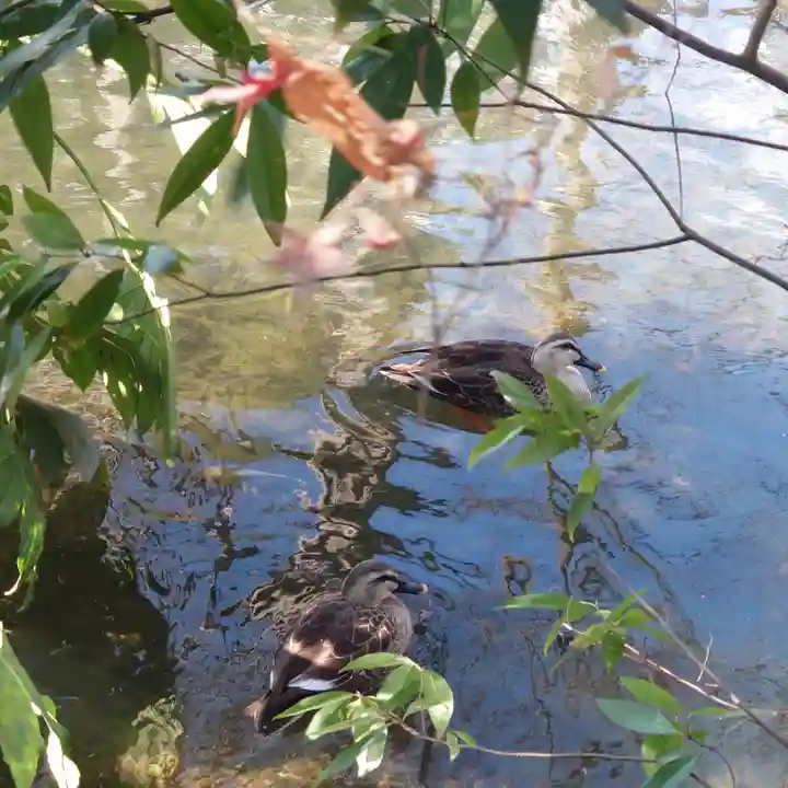 廣瀬神社(埼玉県)