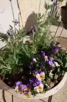 寿量山 速成寺の庭園