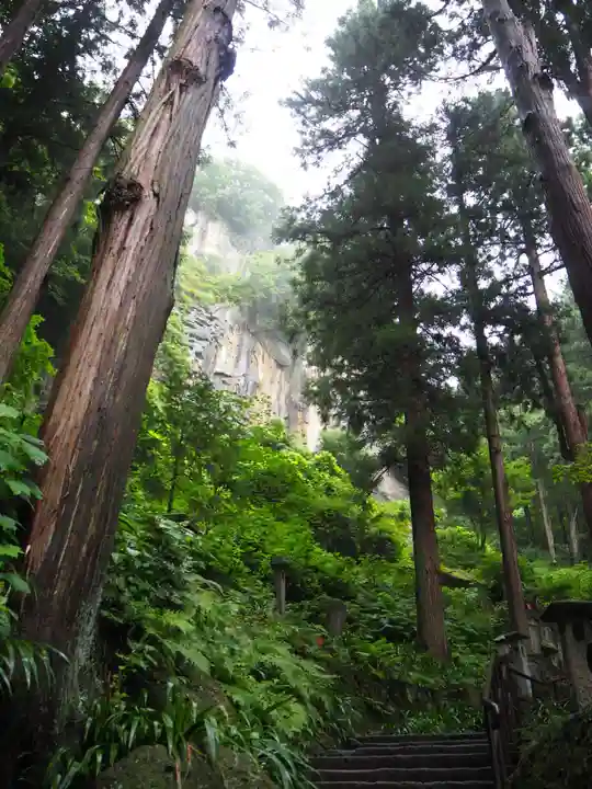 宝珠山 立石寺の自然