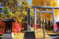 青柳神社の鳥居