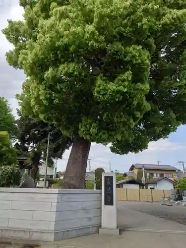 長徳寺(神奈川県)