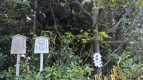 新熊野神社(京都府)