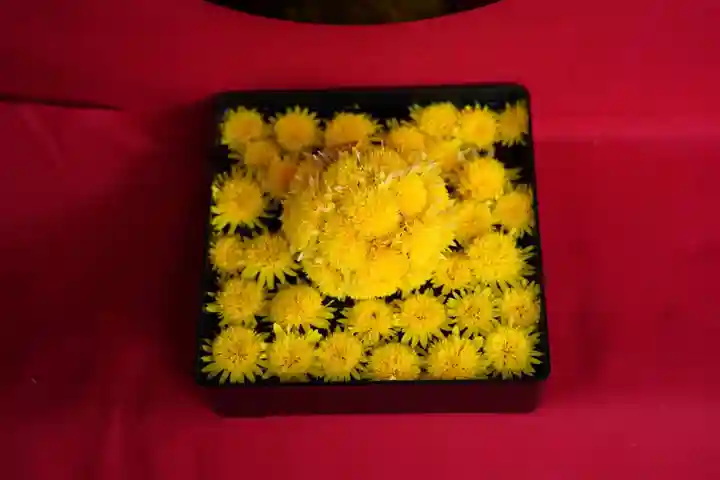 阿邪訶根神社の手水舎