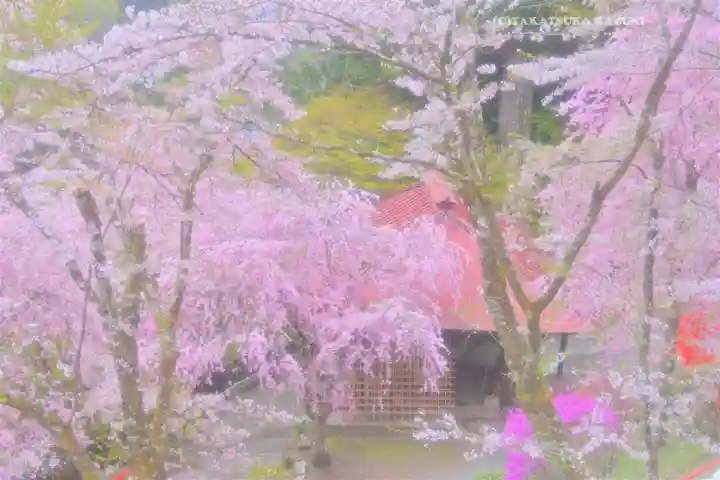 金櫻神社(山梨県)