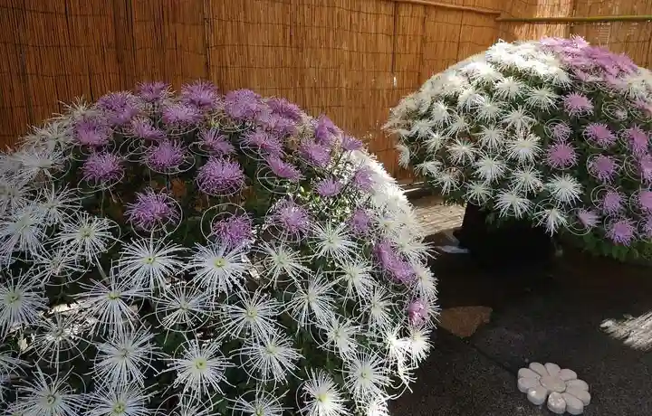 湯島天満宮のお祭り