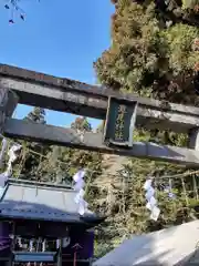 今市瀧尾神社の鳥居