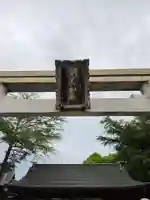 今朝は雲に覆われた朝を迎えました。今日一日は曇り予報のようです。