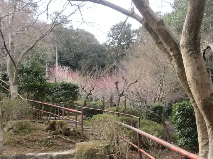 石山寺(滋賀県)