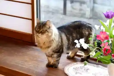 善龍寺(東京都)