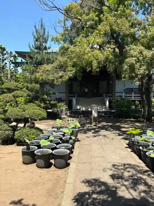 長昌寺(東京都)