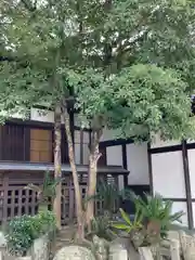 曽根天満宮の自然