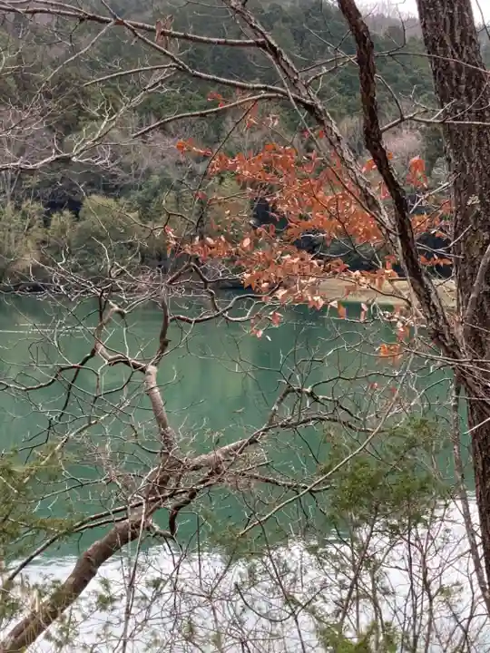 河上神社の自然