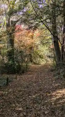 半木神社（賀茂別雷神社境外末社）(京都府)