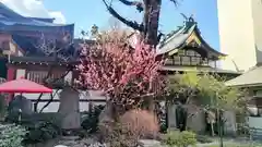 素盞雄神社(東京都)